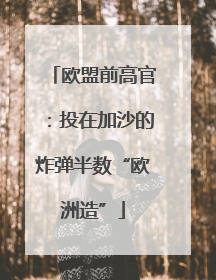欧盟前高官：投在加沙的炸弹半数“欧洲造”