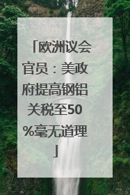 欧洲议会官员：美政府提高钢铝关税至50%毫无道理