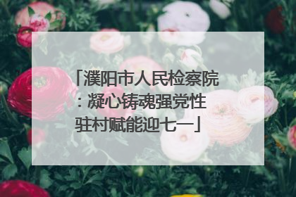 濮阳市人民检察院：凝心铸魂强党性 驻村赋能迎七一