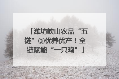 潍坊峡山农品“五链”③优养优产！全链赋能“一只鸡”