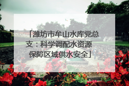 潍坊市牟山水库党总支：科学调配水资源 保障区域供水安全