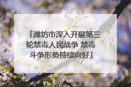 潍坊市深入开展第三轮禁毒人民战争 禁毒斗争形势持续向好