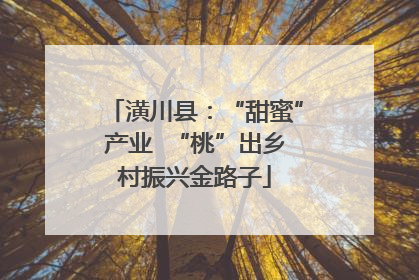 潢川县：“甜蜜”产业  “桃”出乡村振兴金路子