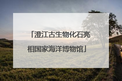 澄江古生物化石亮相国家海洋博物馆