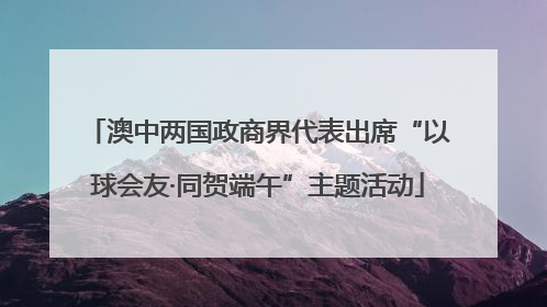 澳中两国政商界代表出席“以球会友·同贺端午”主题活动