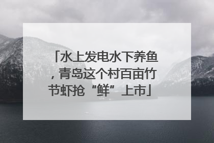 水上发电水下养鱼，青岛这个村百亩竹节虾抢“鲜”上市