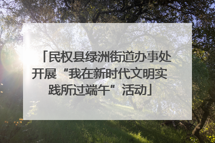 民权县绿洲街道办事处开展“我在新时代文明实践所过端午”活动