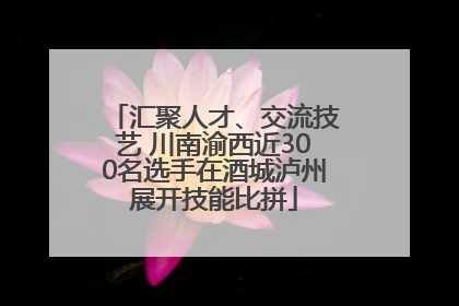 汇聚人才、交流技艺 川南渝西近300名选手在酒城泸州展开技能比拼