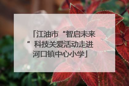 江油市“智启未来”科技关爱活动走进河口镇中心小学