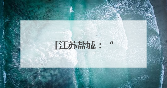 江苏盐城：“音”爱留“夏” 带火一座城