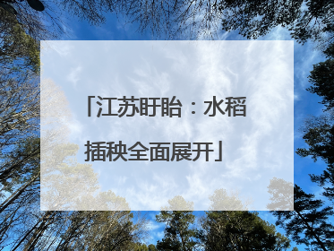 江苏盱眙：水稻插秧全面展开