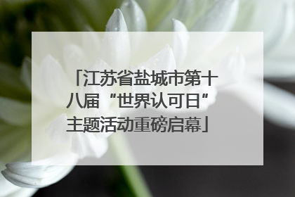 江苏省盐城市第十八届“世界认可日”主题活动重磅启幕