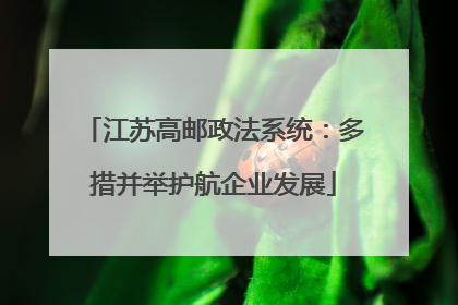 江苏高邮政法系统：多措并举护航企业发展