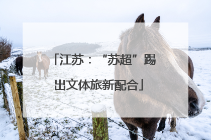 江苏：“苏超”踢出文体旅新配合