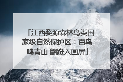 江西婺源森林鸟类国家级自然保护区：百鸟鸣青山 翩跹入画屏