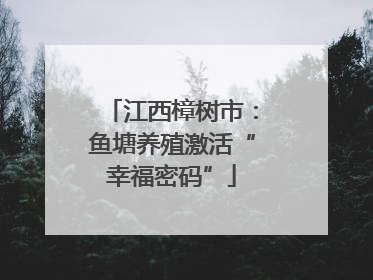 江西樟树市：鱼塘养殖激活“幸福密码”