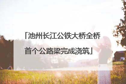 池州长江公铁大桥全桥首个公路梁完成浇筑