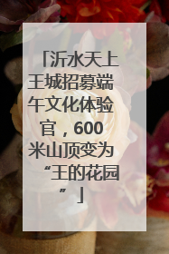 沂水天上王城招募端午文化体验官，600米山顶变为“王的花园”