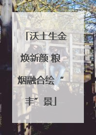 沃土生金焕新颜 粮烟融合绘“丰”景