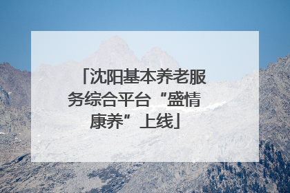 沈阳基本养老服务综合平台“盛情康养”上线
