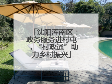 沈阳浑南区：政务服务进村屯，“村政通”助力乡村振兴