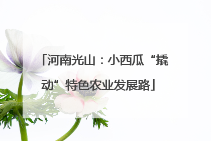 河南光山：小西瓜“撬动”特色农业发展路