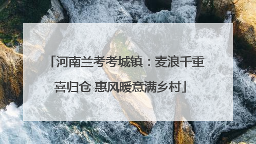 河南兰考考城镇：麦浪千重喜归仓 惠风暖意满乡村