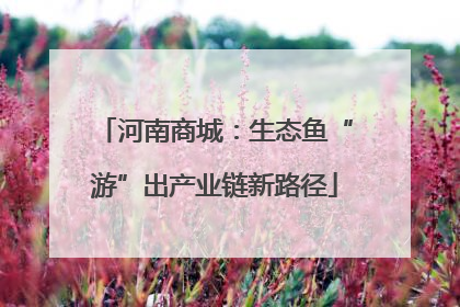 河南商城：生态鱼“游”出产业链新路径