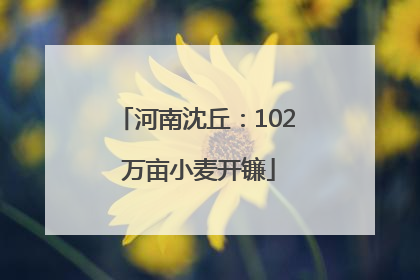 河南沈丘：102 万亩小麦开镰