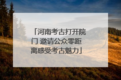 河南考古打开院门 邀请公众零距离感受考古魅力