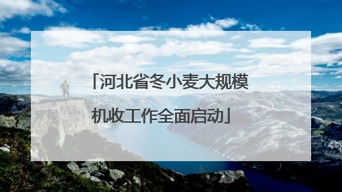 河北省冬小麦大规模机收工作全面启动