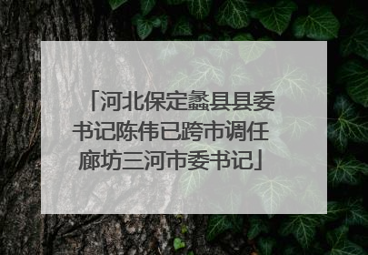 河北保定蠡县县委书记陈伟已跨市调任廊坊三河市委书记