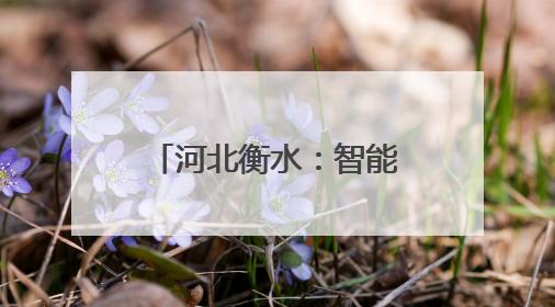 河北衡水：智能收储 颗粒归仓