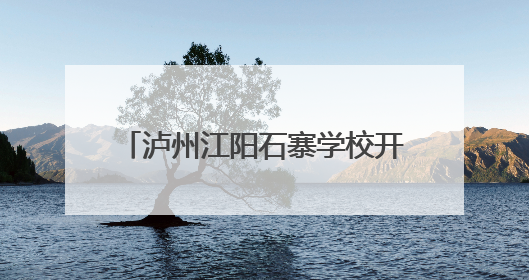 泸州江阳石寨学校开展2025年“六一”少先队入队活动