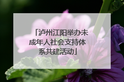 泸州江阳举办未成年人社会支持体系共建活动