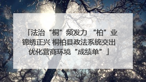 法治“桐”频发力 “柏”业锦绣正兴 桐柏县政法系统交出优化营商环境“成绩单”