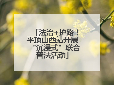 法治+护路！平顶山西站开展“沉浸式”联合普法活动