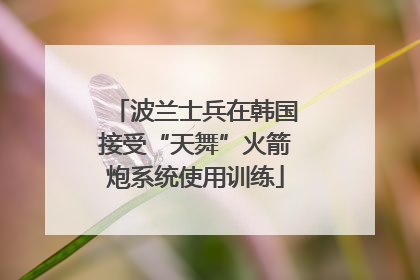 波兰士兵在韩国接受“天舞”火箭炮系统使用训练