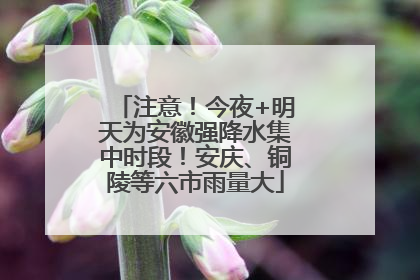 注意！今夜+明天为安徽强降水集中时段！安庆、铜陵等六市雨量大