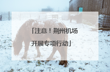注意！荆州机场开展专项行动