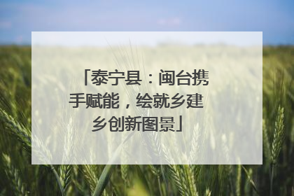 泰宁县：闽台携手赋能，绘就乡建乡创新图景
