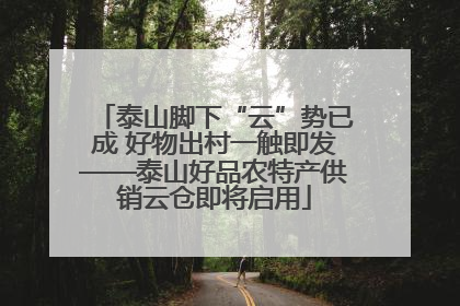 泰山脚下“云”势已成 好物出村一触即发——泰山好品农特产供销云仓即将启用
