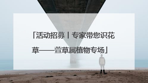 活动招募丨专家带您识花草——萱草属植物专场