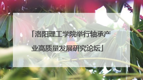 洛阳理工学院举行轴承产业高质量发展研究论坛