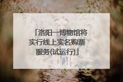 洛阳一博物馆将实行线上实名购票服务(试运行)