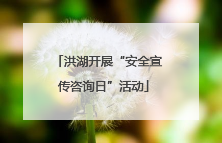 洪湖开展“安全宣传咨询日”活动