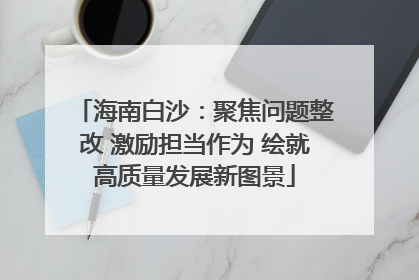 海南白沙：聚焦问题整改 激励担当作为 绘就高质量发展新图景