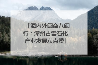 海内外闽商八闽行：漳州古雷石化产业发展获点赞