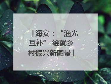 海安：“渔光互补” 绘就乡村振兴新图景