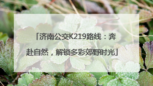 济南公交K219路线：奔赴自然，解锁多彩郊野时光